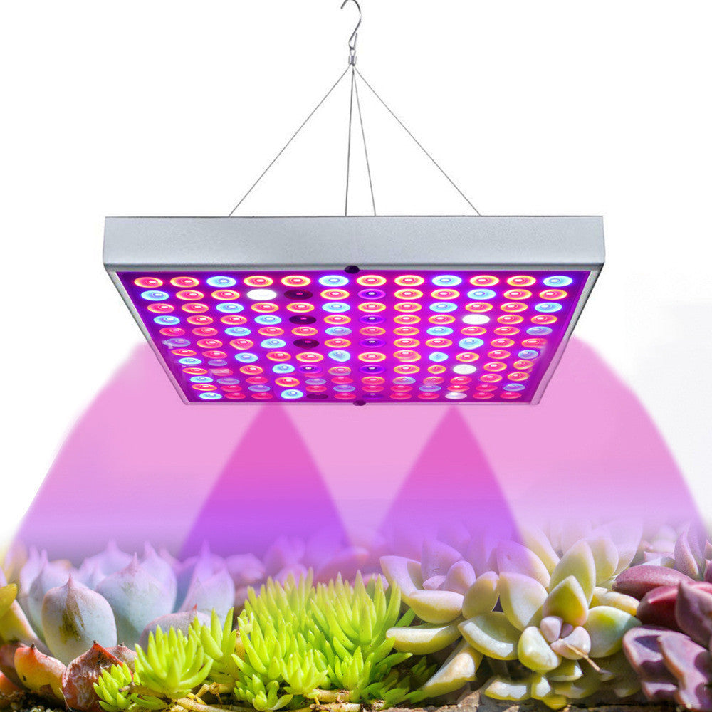 LED Plant Supplement Light For Growing Seedlings In Greenhouses
