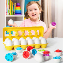 Educational Sorting and Matching Egg Toy Set